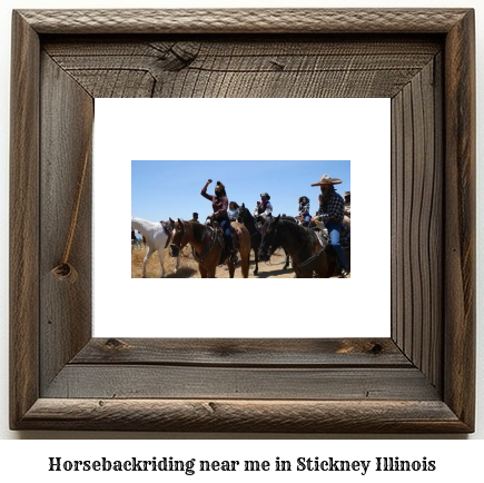 horseback riding near me in Stickney, Illinois